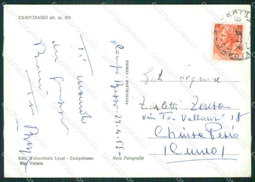 Campobasso Città Foto FG cartolina ZKM7527 – retro