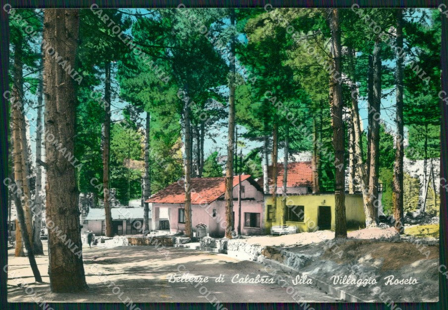 Cosenza Villaggio Roseto Sila Foto FG cartolina ZKM7557 – fronte