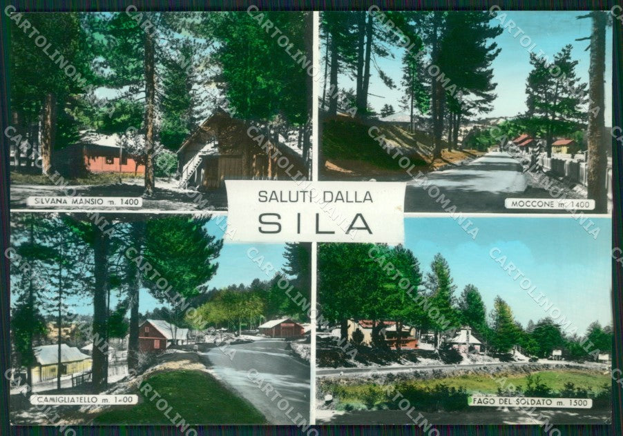 Cosenza Sila Saluti da Foto FG cartolina ZKM7584 – fronte