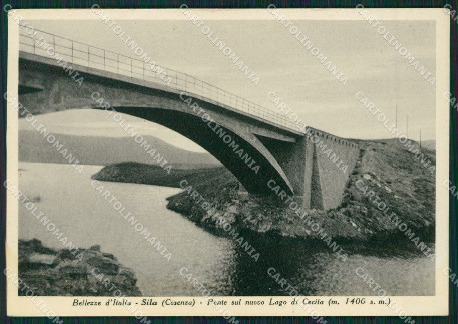 Cosenza Sila MACCHIA Foto FG cartolina ZKM7585 – fronte