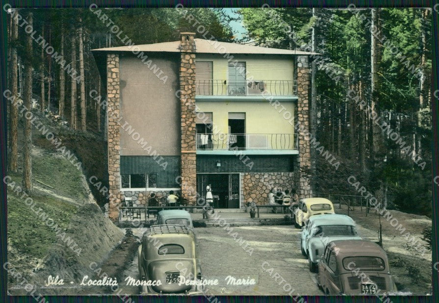 Cosenza Sila Auto Foto FG cartolina ZKM7586 – fronte