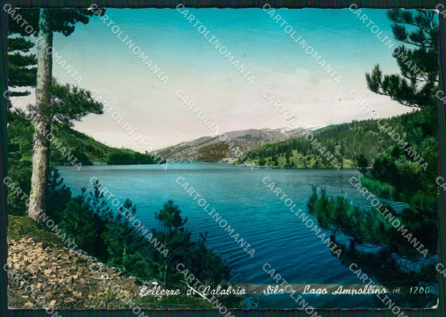 Cosenza Sila Lago Ampollino Foto FG cartolina ZKM7594 – fronte