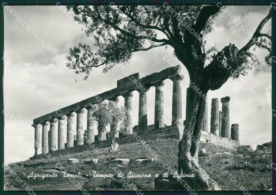 Agrigento Città Templi Foto FG cartolina ZKM7630 – fronte