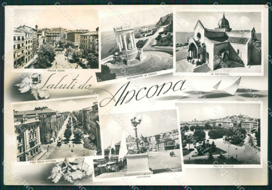 Ancona Città Saluti da MACCHIA Foto FG cartolina ZKM7712 – fronte
