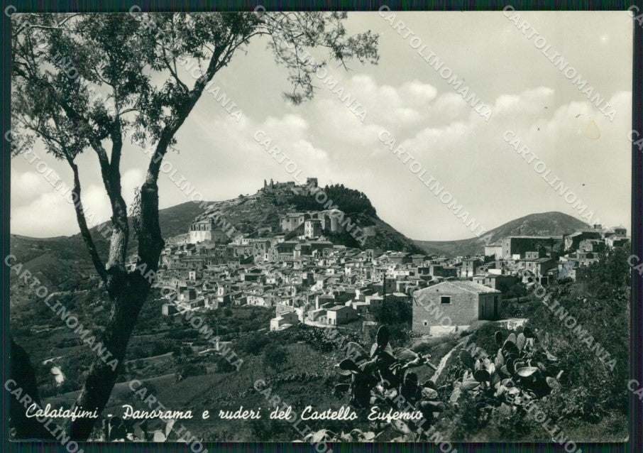 Trapani Calatafimi Foto FG cartolina ZKM7923 – fronte