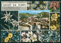 Vicenza Schio Saluti da Foto FG cartolina ZKM8003 – fronte