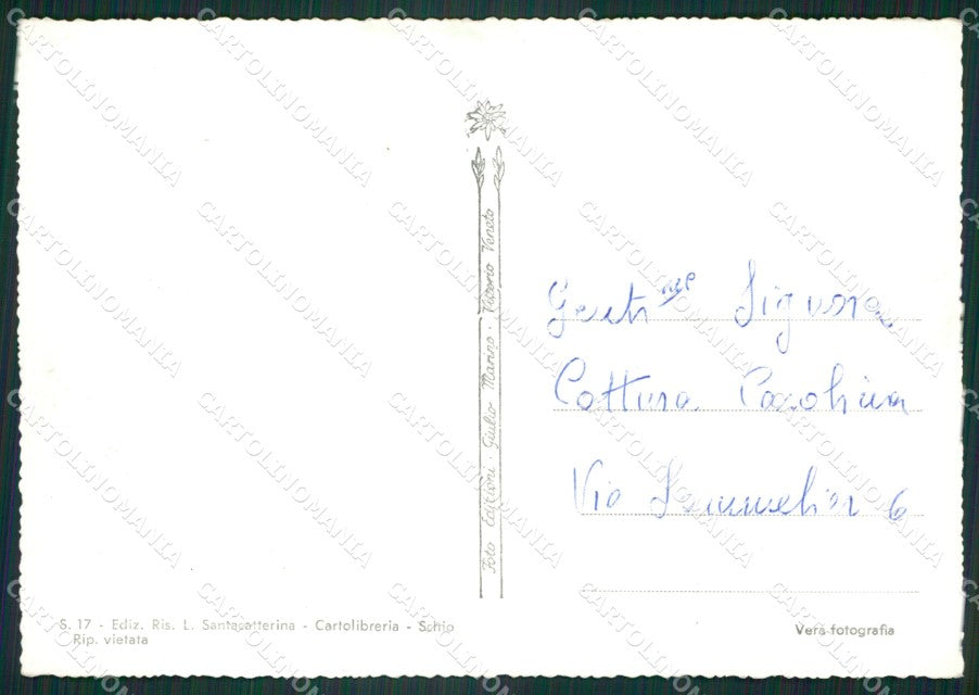 Vicenza Schio Foto FG cartolina ZKM8009 – retro