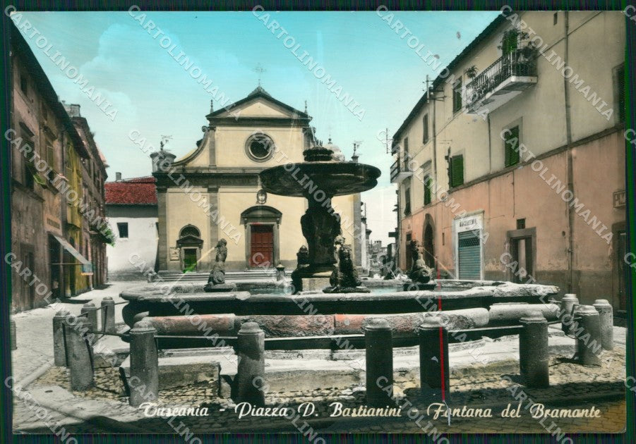 Viterbo Tuscania Fontana Bramante Foto FG cartolina ZKM8096 – fronte