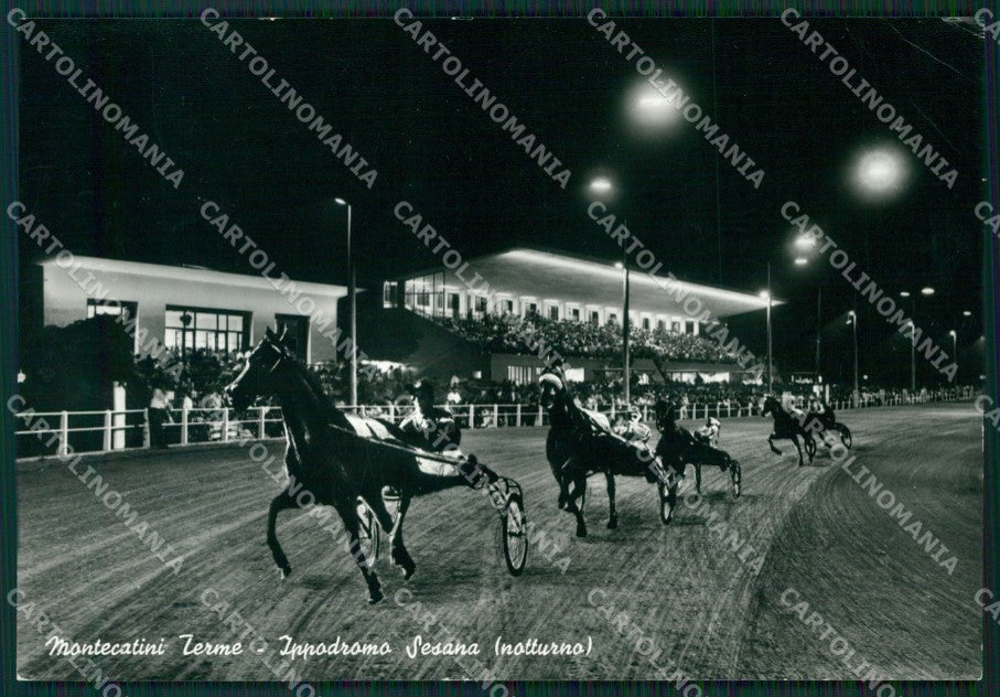 Pistoia Montecatini Terme Ippodromo PIEGHINE Foto FG cartolina ZKM8103 – fronte