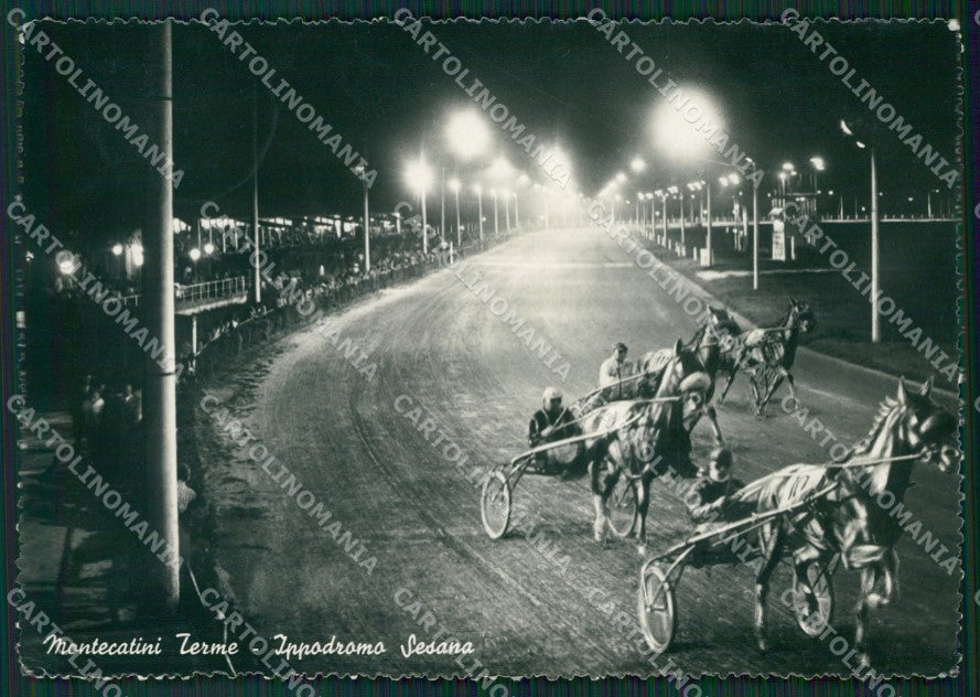 Pistoia Montecatini Terme Ippodromo Foto FG cartolina ZKM8107 – fronte