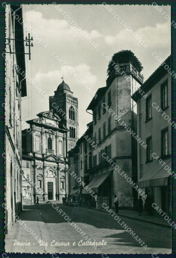 Pistoia Pescia Foto FG cartolina ZKM8114 – fronte