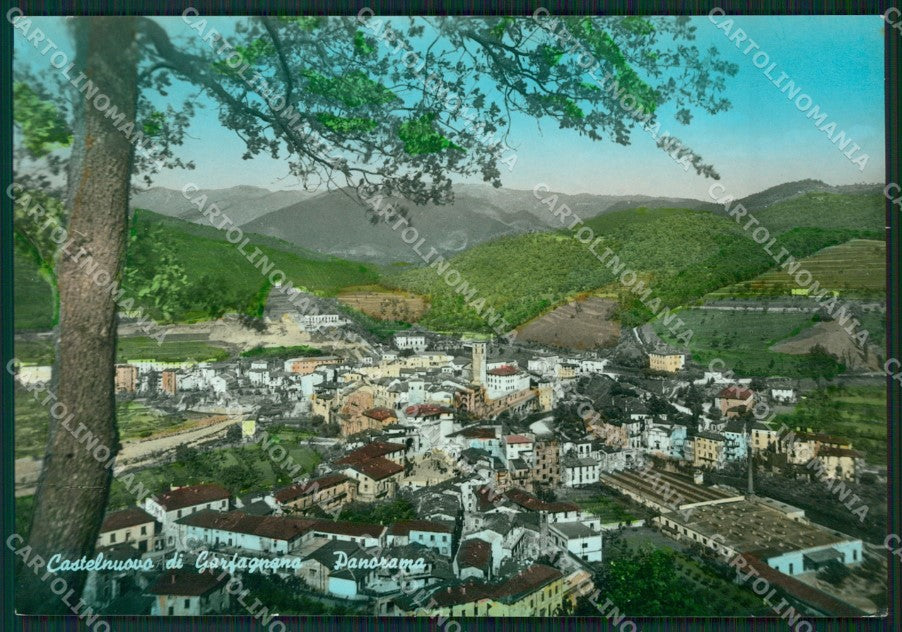 Lucca Castelnuovo Garfagnana Foto FG cartolina ZKM8127 – fronte