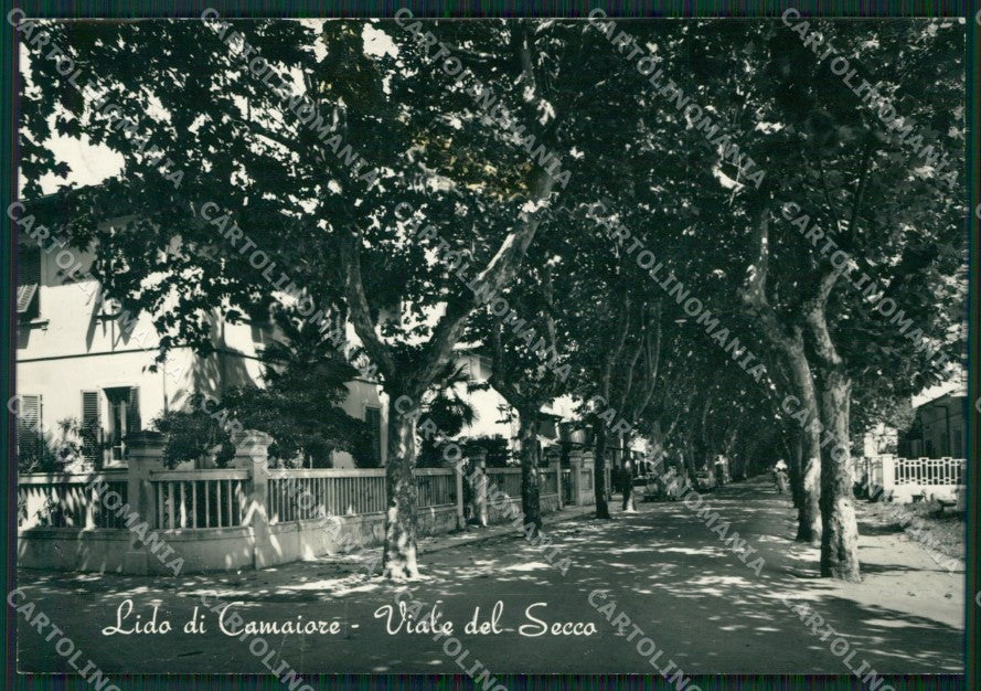 Lucca Camaiore Lido di PIEGHINA Foto FG cartolina ZKM8132 – fronte