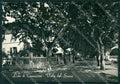 Lucca Camaiore Lido di PIEGHINA Foto FG cartolina ZKM8132 – fronte