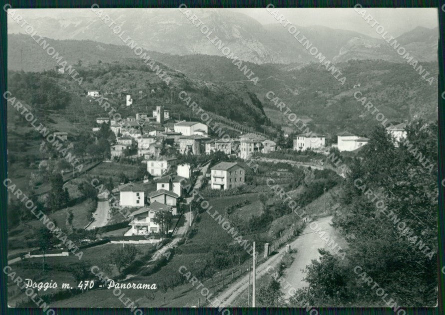 Lucca Camporgiano Poggio Foto FG cartolina ZKM8133 – fronte