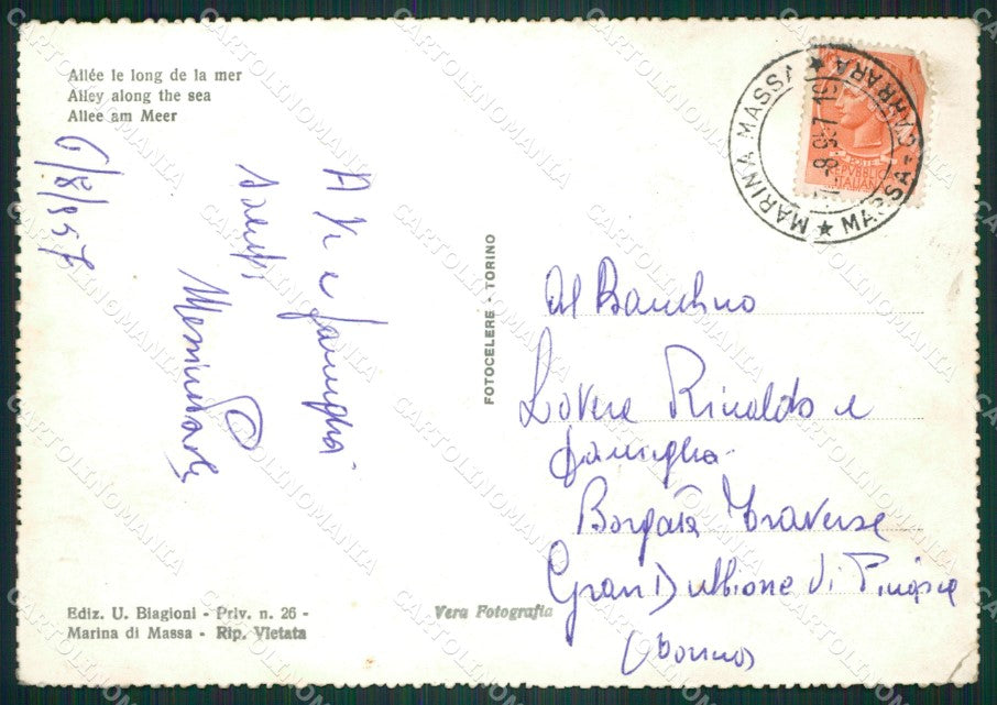 Massa Marina di Foto FG cartolina ZKM8155 – retro