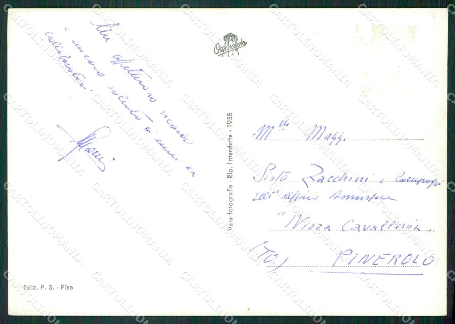 Pisa Città Foto FG cartolina ZKM8165 – retro