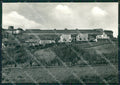 Pisa Volterra PIEGHINA Foto FG cartolina ZKM8170 – fronte