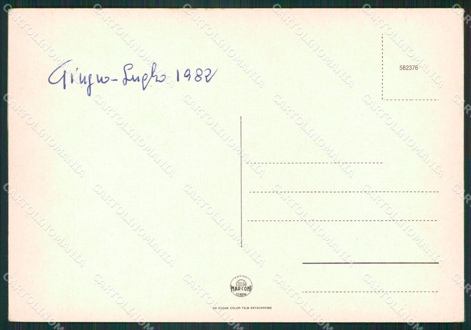 Pisa San Giuliano Terme Pontasserchio Foto FG cartolina ZKM8173 – retro