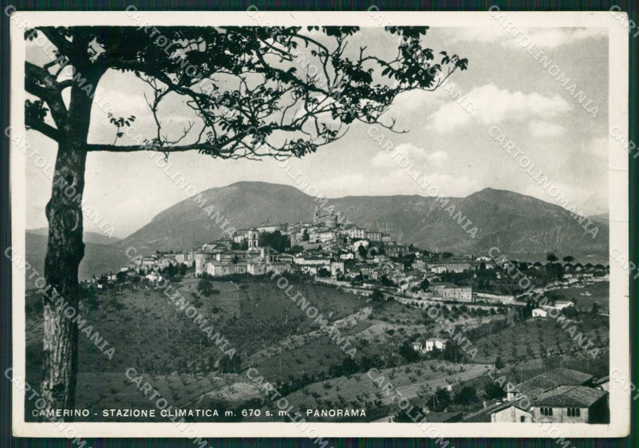 Macerata Camerino FORI STRAPPINI Foto FG cartolina ZKM8214 – fronte