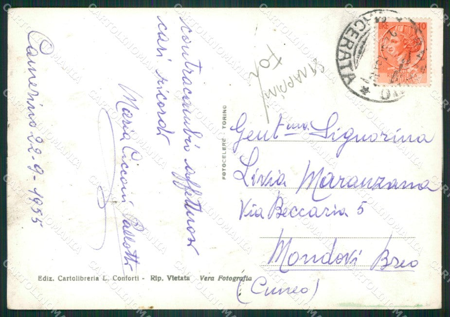 Macerata Camerino FORI STRAPPINI Foto FG cartolina ZKM8214 – retro