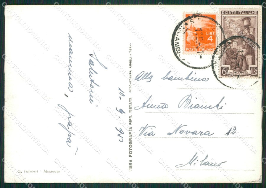 Macerata Città Foto FG cartolina ZKM8220 – retro