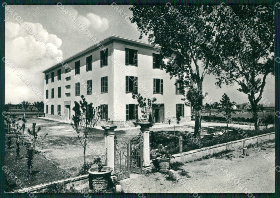 Pesaro Marotta Foto FG cartolina ZKM8239 – fronte