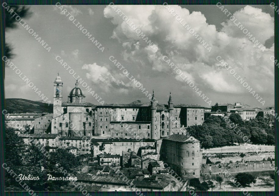 Pesaro Urbino Foto FG cartolina ZKM8245 – fronte
