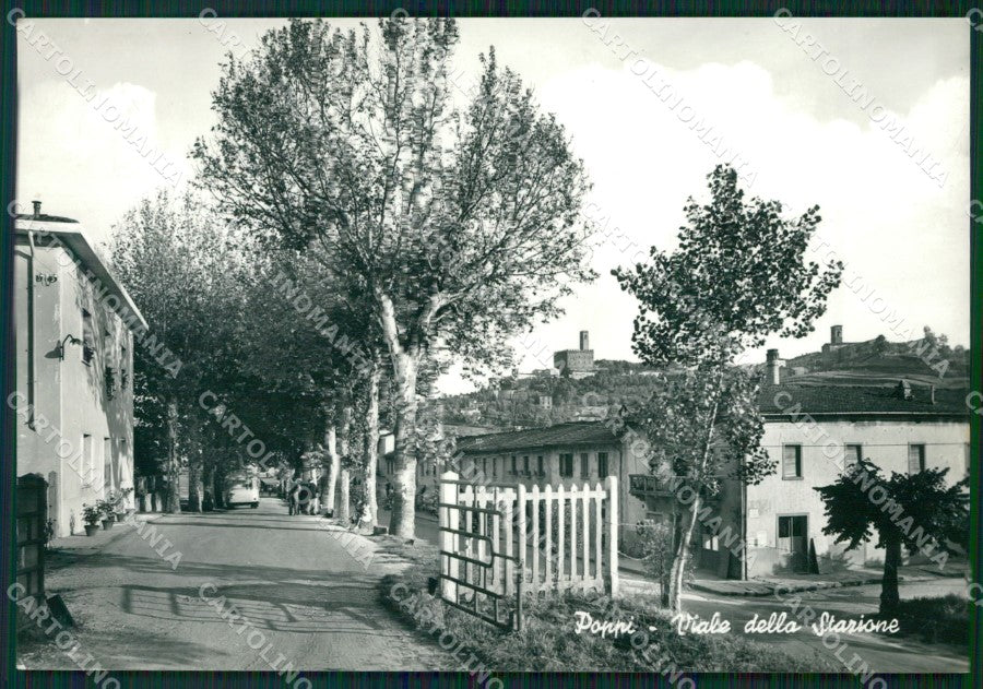 Arezzo Poppi Foto FG cartolina ZKM8284 – fronte