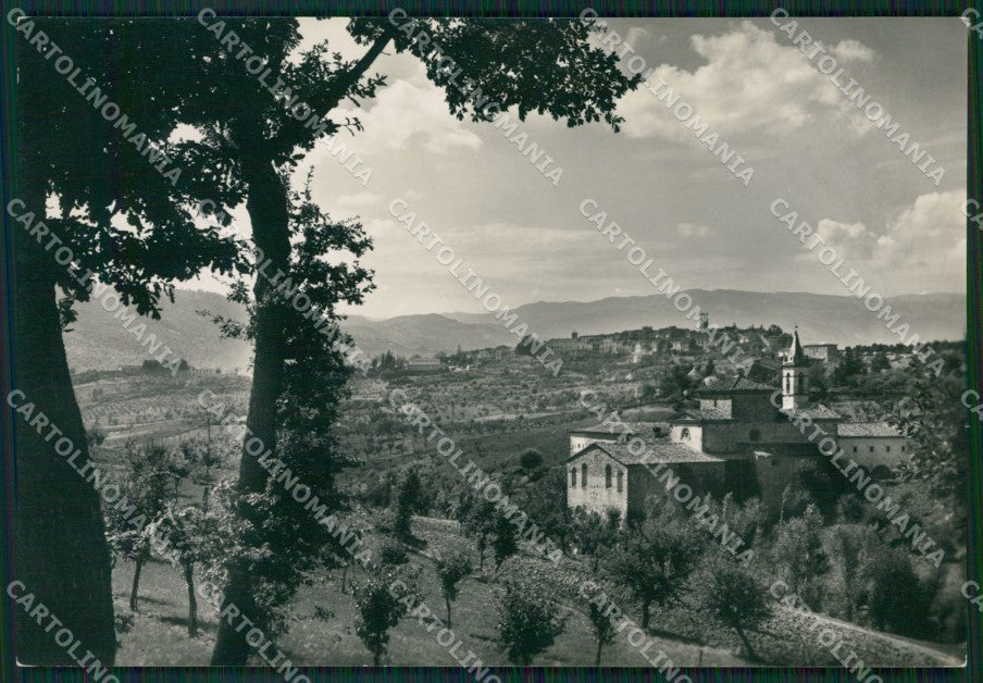 Arezzo Bibbiena Foto FG cartolina ZKM8289 – fronte