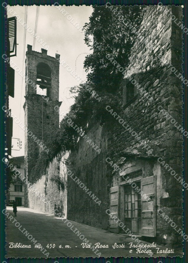Arezzo Bibbiena Foto FG cartolina ZKM8290 – fronte