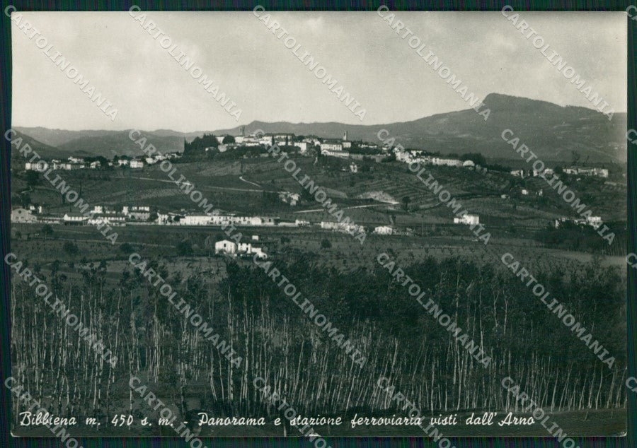 Arezzo Bibbiena Foto FG cartolina ZKM8291 – fronte