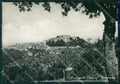 Livorno Castagneto Carducci Foto FG cartolina ZKM8311 – fronte