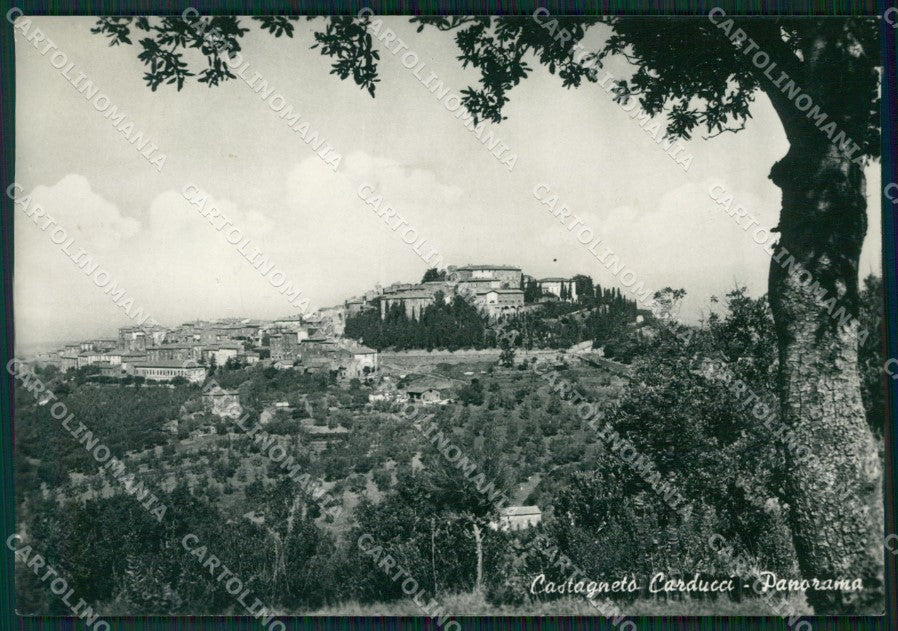 Livorno Castagneto Carducci Foto FG cartolina ZKM8311 – fronte
