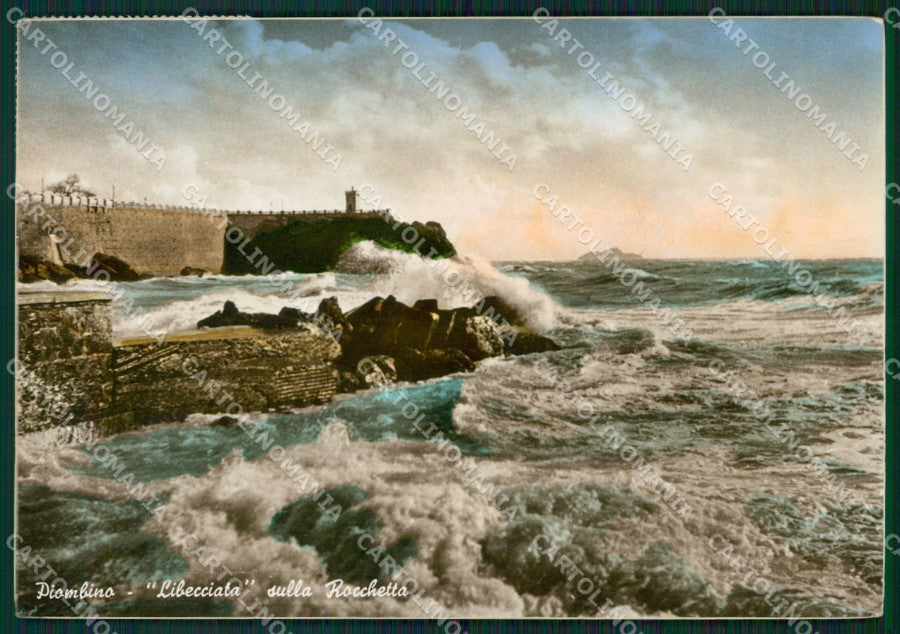 Livorno Piombino Libecciata Foto FG cartolina ZKM8327 – fronte