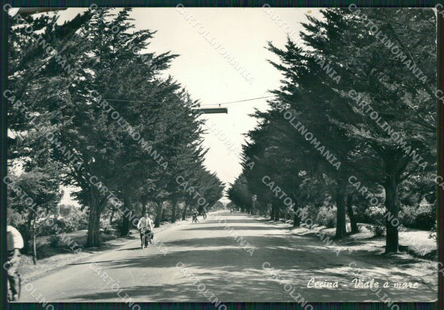 Livorno Cecina Foto FG cartolina ZKM8333 – fronte