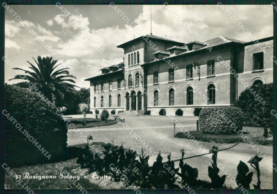 Livorno Rosignano Solvay Foto FG cartolina ZKM8339 – fronte