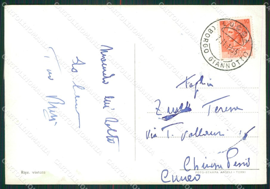 Lucca Città Saluti da Foto FG cartolina ZKM8342 – retro