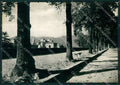 Lucca Città Foto FG cartolina ZKM8346 – fronte
