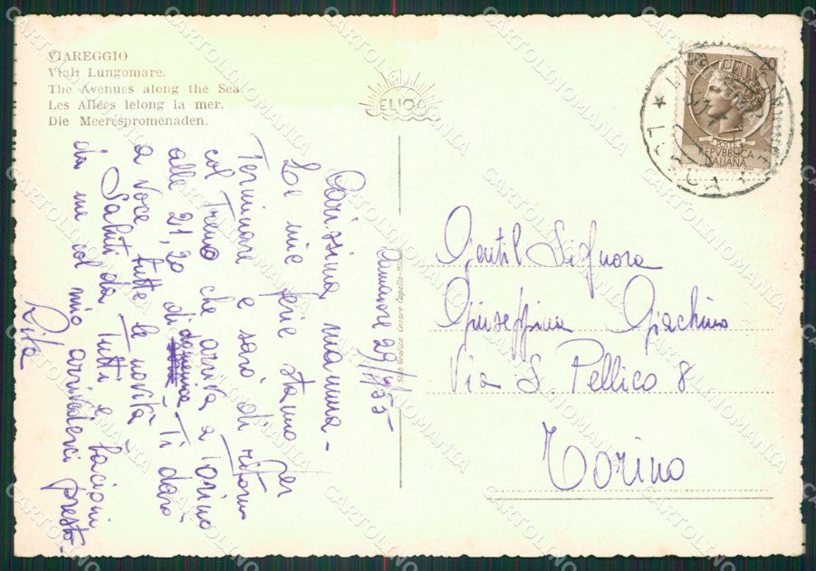 Lucca Viareggio Corriera Foto FG cartolina ZKM8347 – retro