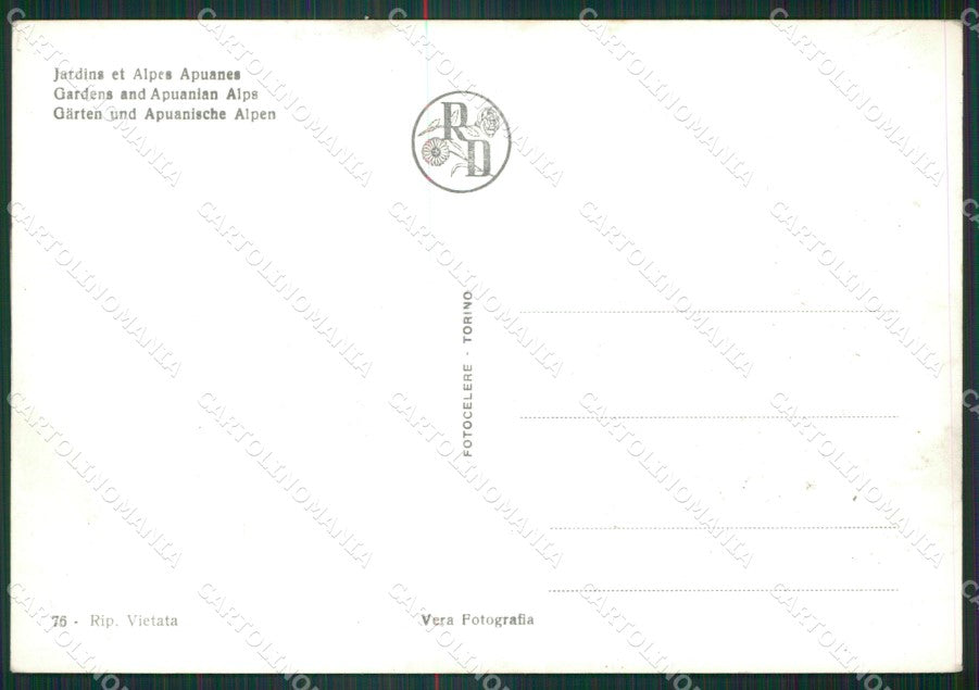 Lucca Forte Dei Marmi Foto FG cartolina ZKM8354 – retro