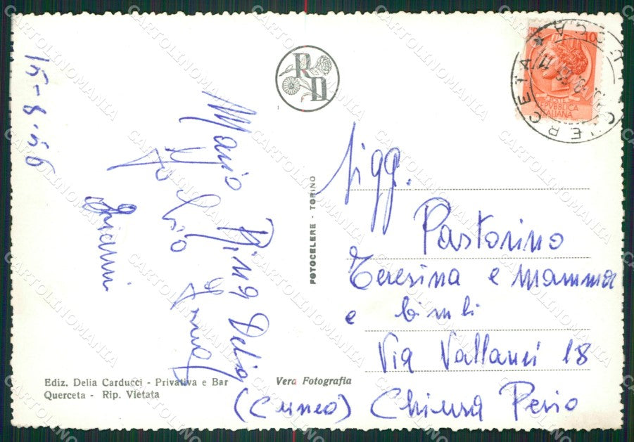 Lucca Seravezza Querceta Foto FG cartolina ZKM8356 – retro