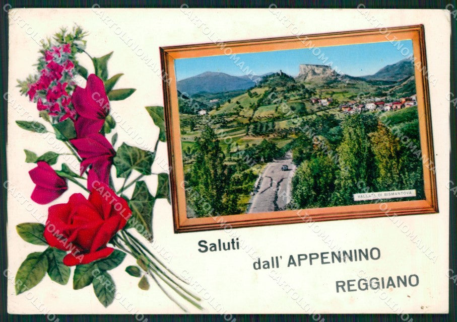 Reggio Emilia Quara Foto FG cartolina ZKM8456 – fronte