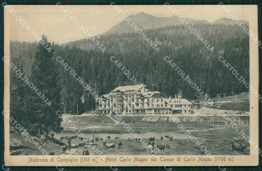 Trento Pinzolo Madonna di Campiglio cartolina ZKM8486 – fronte