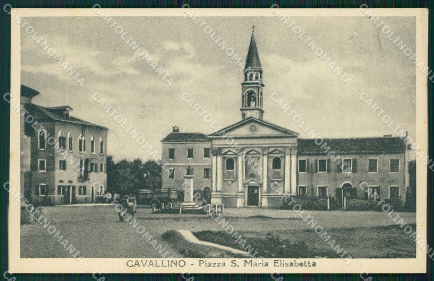 Venezia Cavallino cartolina ZKM8655 – fronte