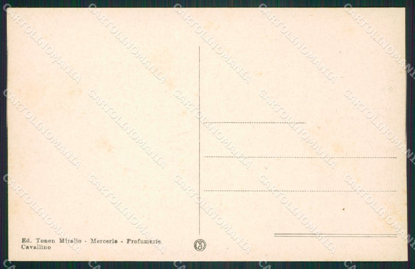 Venezia Cavallino cartolina ZKM8655 – retro