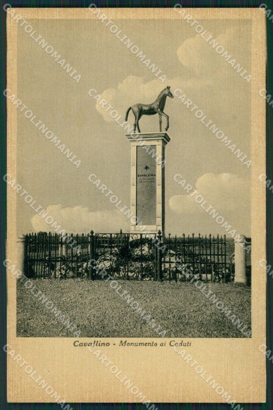 Venezia Cavallino cartolina ZKM8656 – fronte