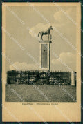 Venezia Cavallino cartolina ZKM8656 – fronte