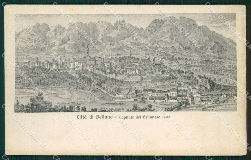 Belluno Città cartolina ZKM8665 – fronte