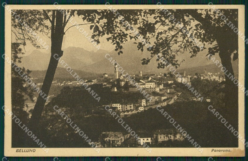 Belluno Città cartolina ZKM8669 – fronte